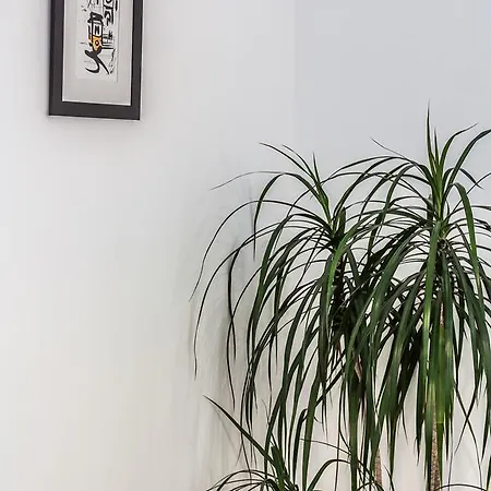 Sao Vicente Heart Of Alfama Apartment *